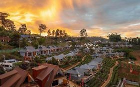 Chenfong Rakthai Resort-ไร่ชาเฉินฟงรีสอร์ท